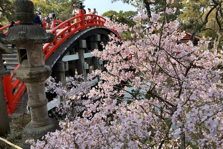 Excursión privada personalizada a Osaka con nativos de Osaka