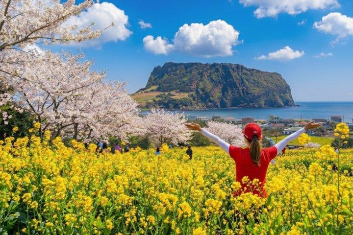 Jeju Tour | Jungmun & Seogwipo Abholung | Seongsan, Haenyeo, Höhle
