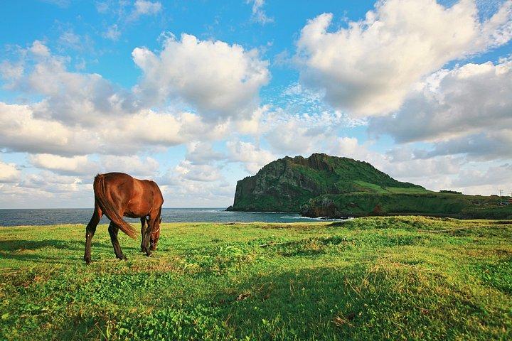 済州ツアー|中門＆西帰浦送迎|城山、海頤、洞窟