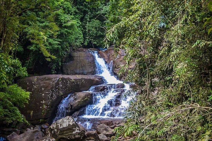 Kanneliya Rainforest Trek from Galle
