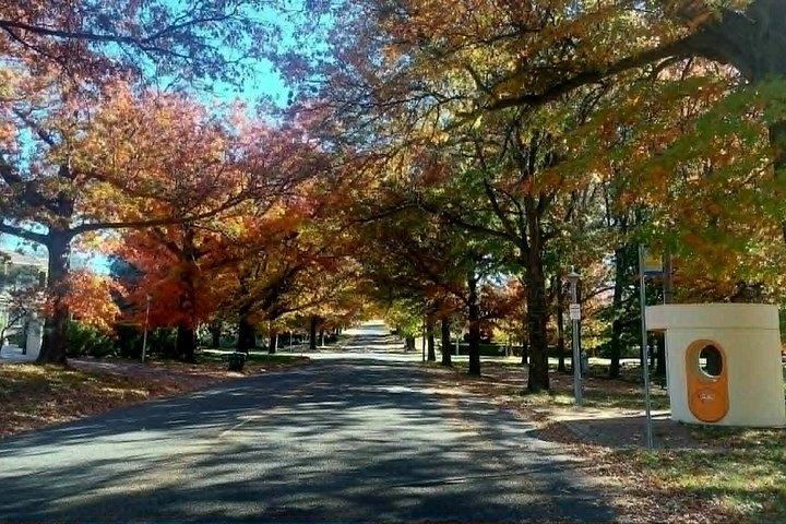 Canberra Private Day Tour
