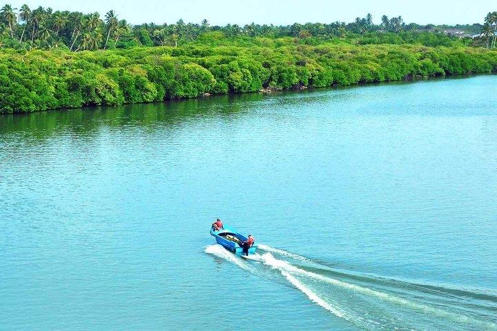 Von Colombo/Negombo : Muthurajawela & Niederländisches Kanalboot Abenteuer