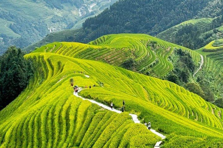 Longji Rice Terraces and Li River Cruise Guilin 2-3Day Group Tour
