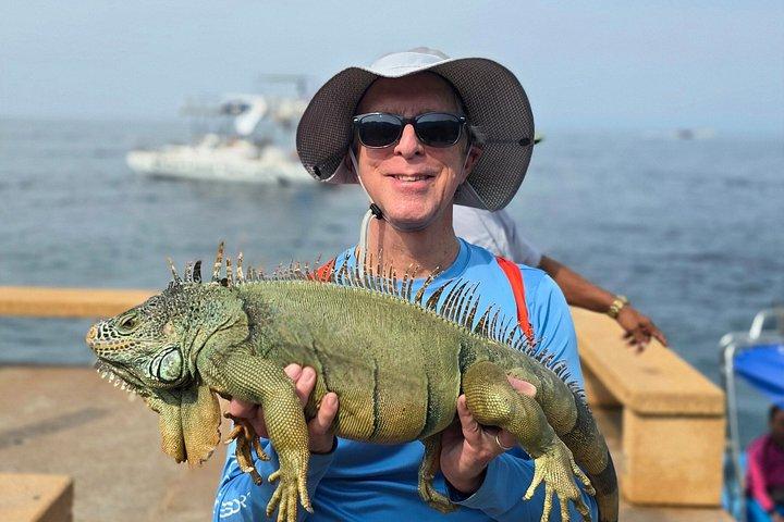 プエルトバジャルタの6つのビーチ沿いの海岸とジャングルのハイキングツアー
