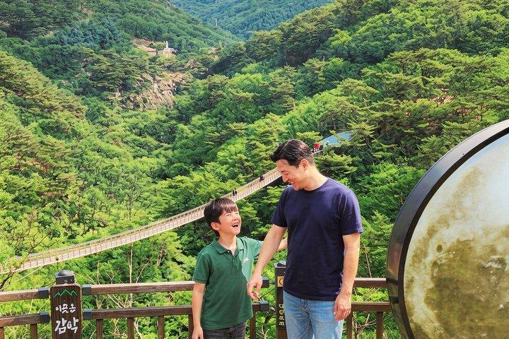 Seoul City Highlights Tour : Mounatin, Hanok Village, Wilde Trauben