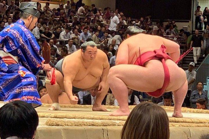 エキスパートツアーガイド付き名古屋相撲チケット指定席