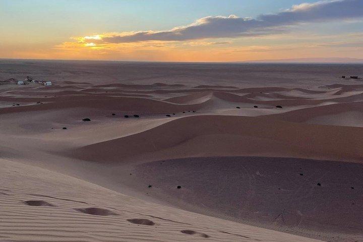 Excursion depuis Ouarzazate à vallee Du Drâa et Dunes De Tinfou
