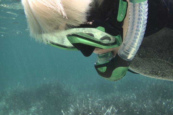 Mergulho com snorkel privado em Menorca com guia local - Atividades subaquáticas em Fornells