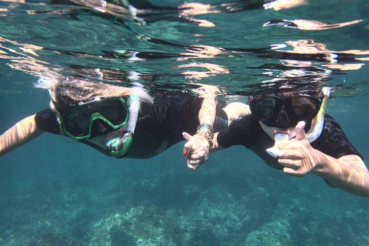 Mergulho com snorkel privado em Menorca com guia local - Atividades subaquáticas em Fornells