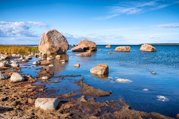 タリン発サーレマー島とムフ島終日体験