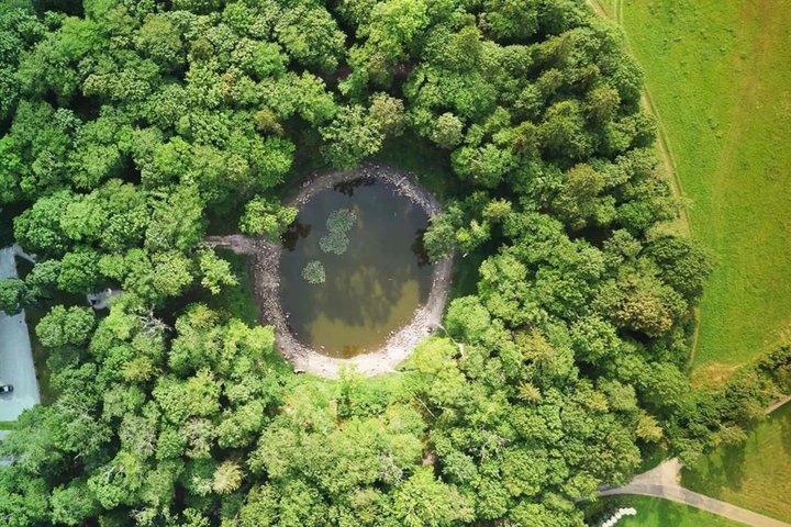 タリン発サーレマー島とムフ島終日体験