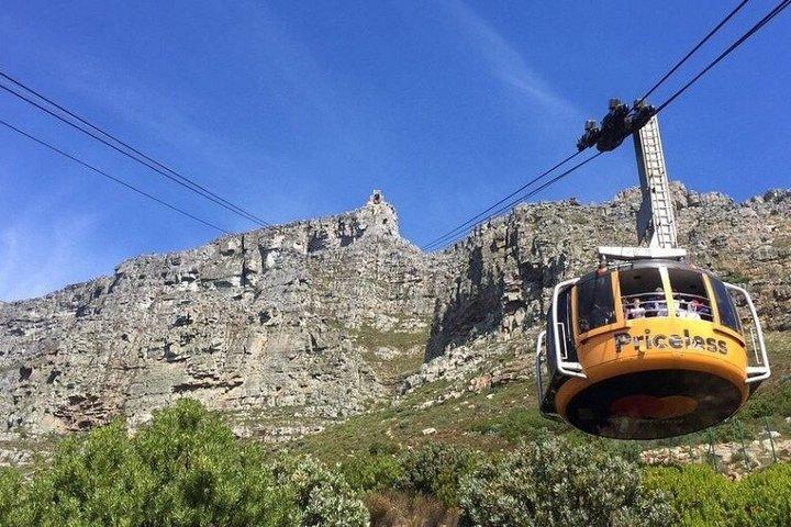 Table Mountain Cape of Good Hope and Boulders Beach Tour