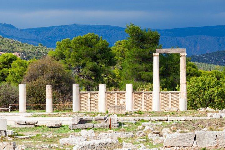 Olive Oil Experience & Ancient Epidaurus Private Shore Tour