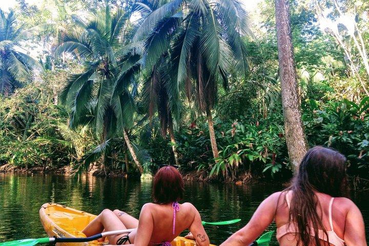 Visite de Punta Uva en kayak, randonnée et observation de la faune