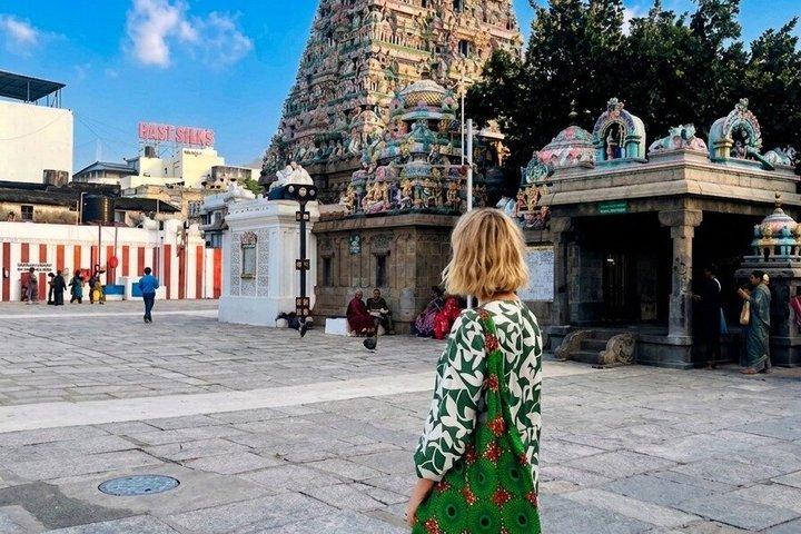 Chennai: Privat bytur med rundvisning og alle entrégebyrer