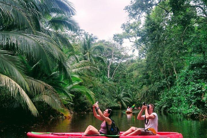 Tour de Kayak y Observación de Perezosos en Punta Uva