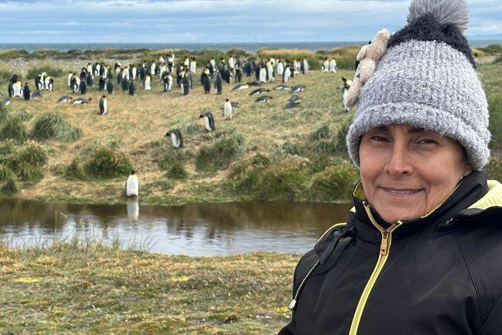 キングペンギンとマゼラン海峡の航海
