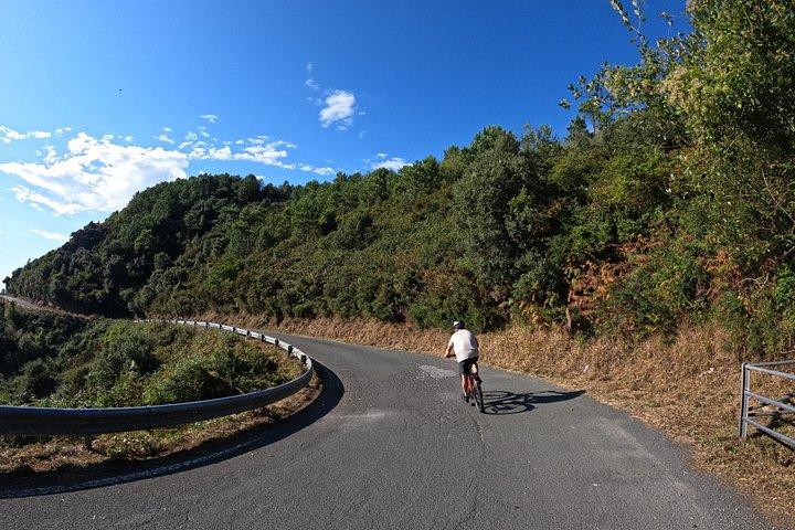 Wine trail by e-bike + aperitif on a farm