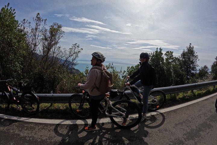 Wine trail by e-bike + aperitif on a farm