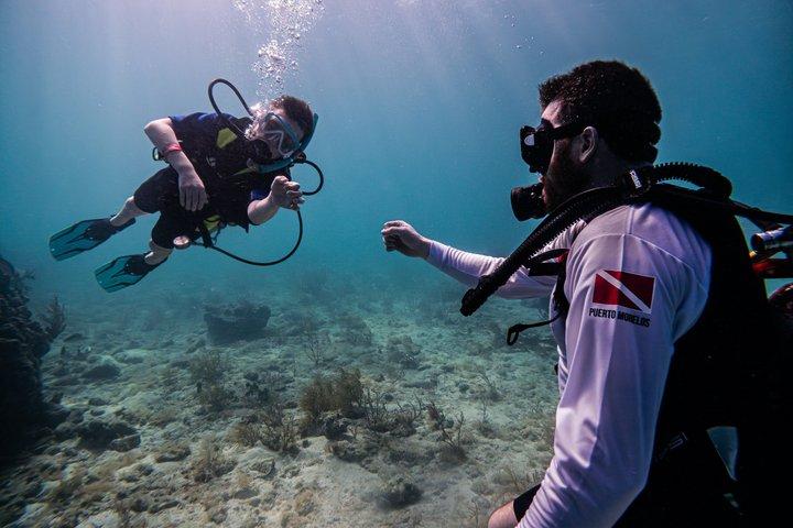 Try Scuba in Puerto Morelos Your First Dive on the Reef