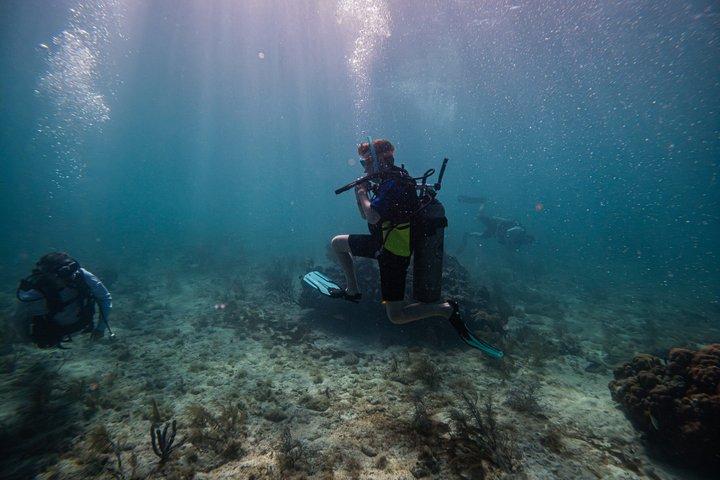 Try Scuba in Puerto Morelos Your First Dive on the Reef