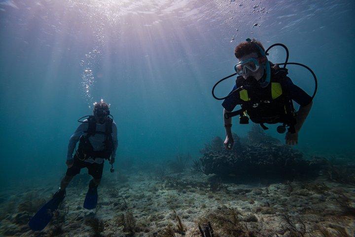 Try Scuba in Puerto Morelos Your First Dive on the Reef