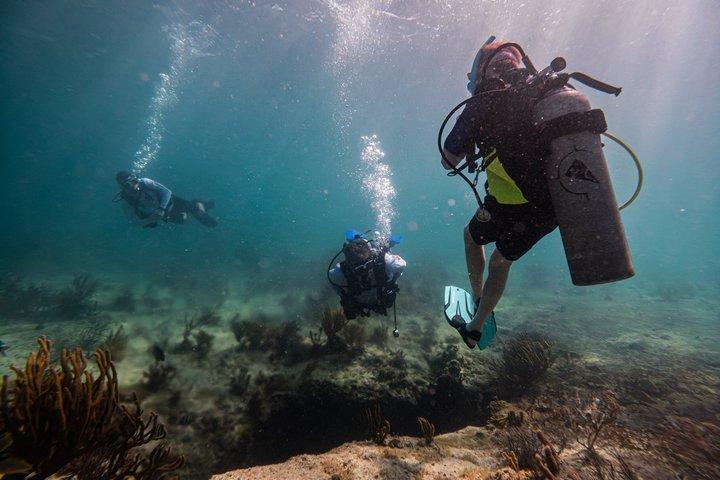 Try Scuba in Puerto Morelos Your First Dive on the Reef