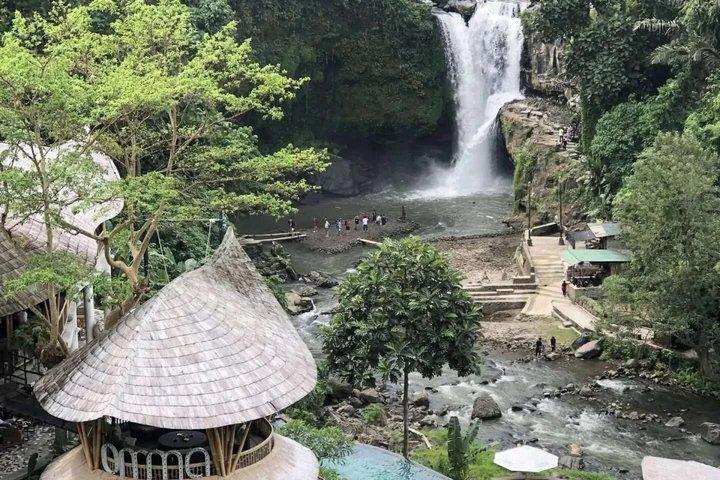 Ubud Private Tour: Monkey Forest, Rice Terrace, Temple & Waterfall