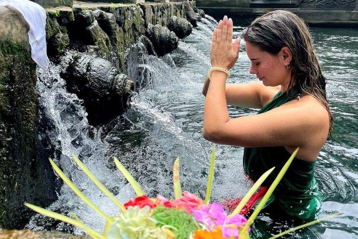 Ubud Private Tour: Monkey Forest, Rice Terrace, Temple & Waterfall