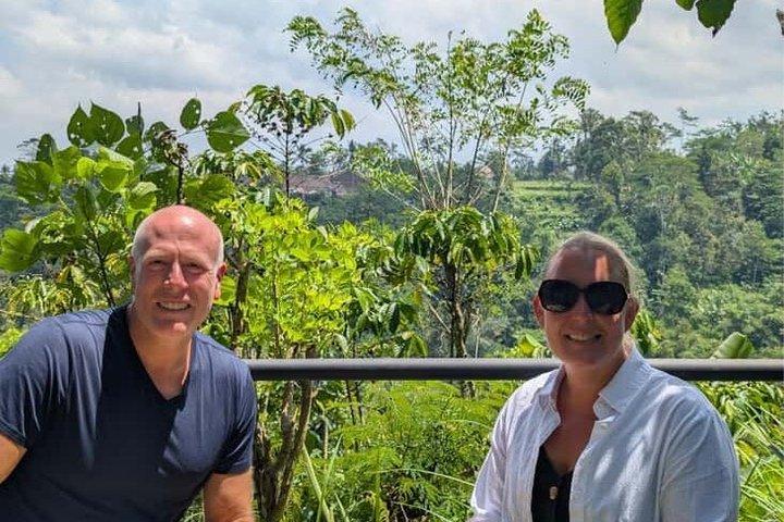 Ubud Private Tour: Monkey Forest, Rice Terrace, Temple & Waterfall
