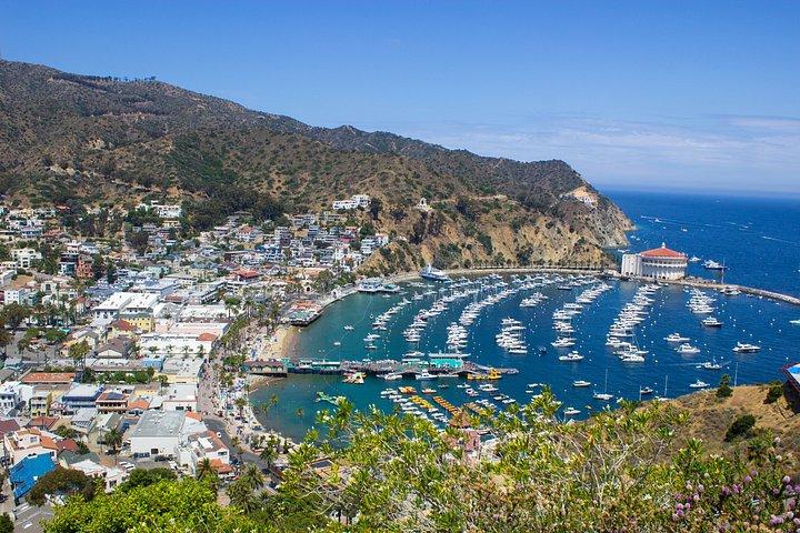 Discover Avalon: Catalina Scenic Tour