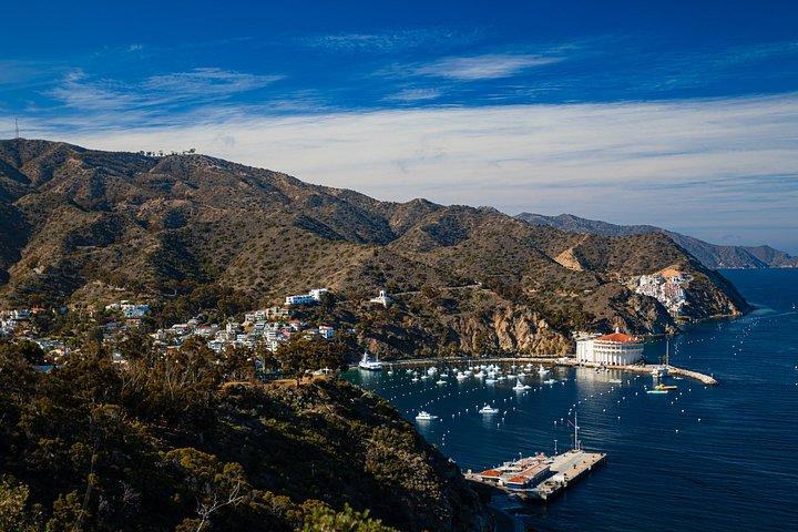 Oplev Avalon: Catalina Scenic Tour