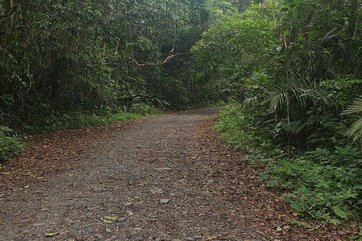 Hiking Pipeline Road