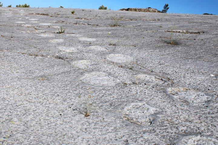 Lisboa: Impressões de Dinossauros, Cavernas e Obidos Tour