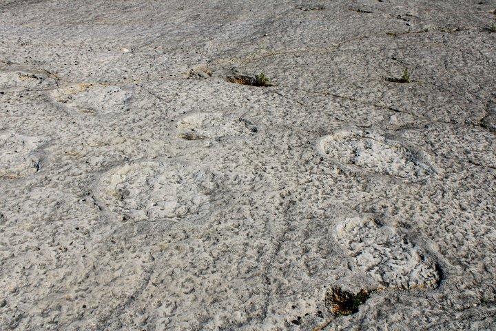 Lisboa: Impressões de Dinossauros, Cavernas e Obidos Tour