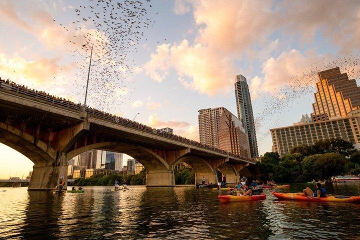オースティンのガイド付きサンセット バット カヤック ツアー