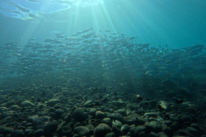 USAT Liberty Shipwreck Immersione e fotografia