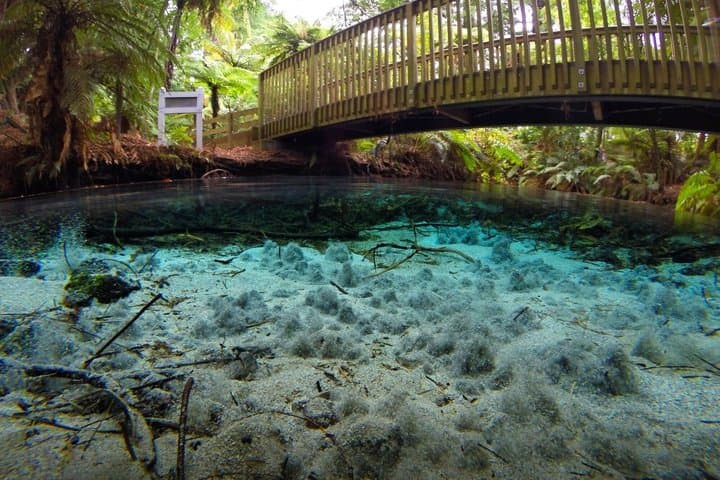 AKL: TAUPO - Maori Rock Carving Cruise, Wai O Tapu & Blue Springs
