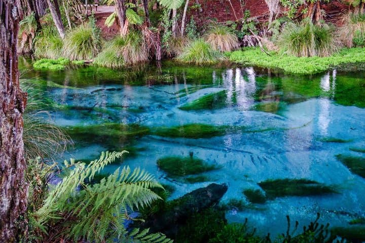 AKL: TAUPO - Maori Rock Carving Cruise, Wai O Tapu & Blue Springs