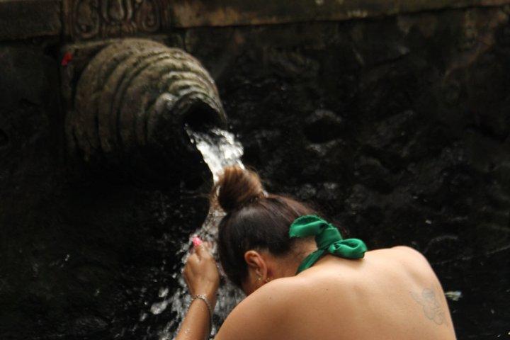 Ubud : tour privato della natura e del tempio