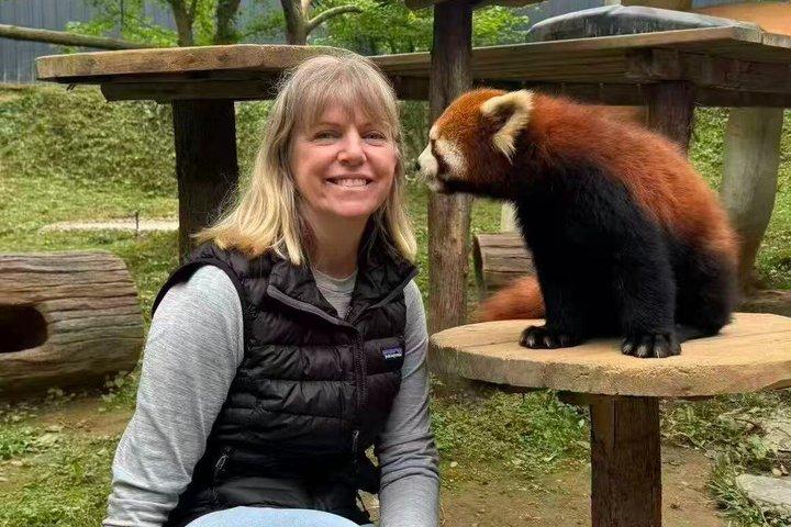 Dujiangyan Panda Base Tour with Optional Red Panda volunteer