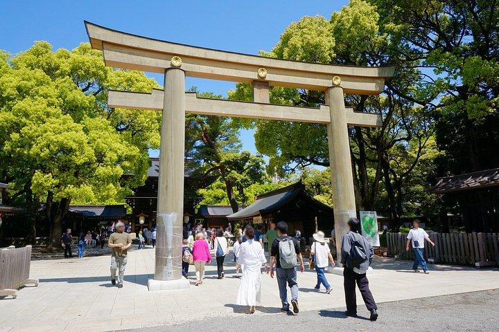 東京カスタマイズ貸切ツアー1日で人気の観光スポットを見る
