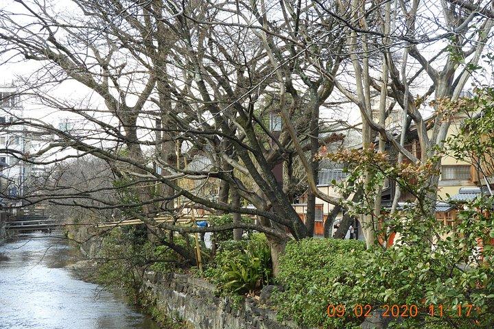貸切着物＆祇園（芸妓街）散策ツアー