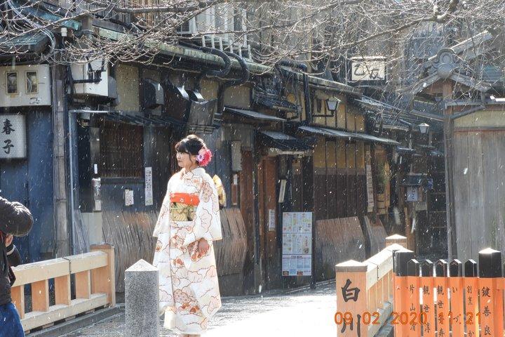 Visite privée de Kimono Dress & Gion (district de Geisha)