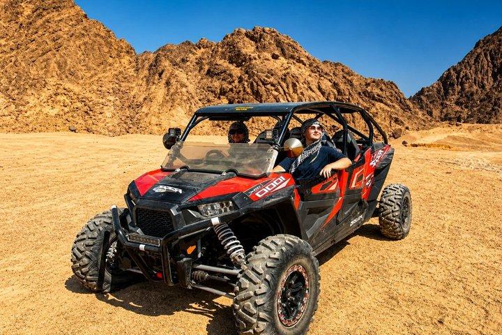 Carro Familiar Buggy Sharm El Sheikh