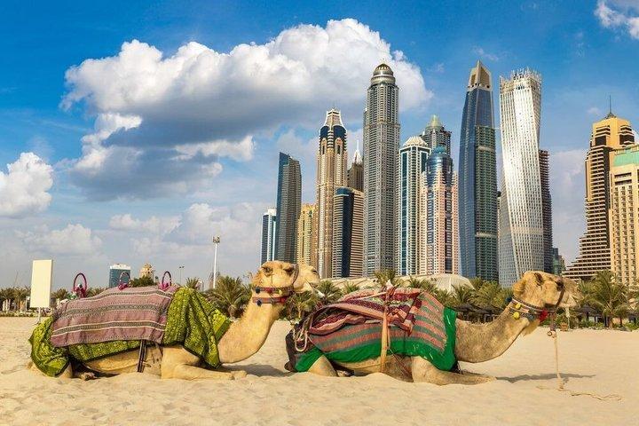 Dubai Burj Khalifa Ticket- und Audiotour und ganztägiger Stadtspaziergang