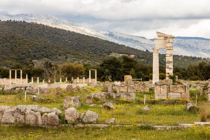 Olivenöl-Erlebnis & Antike Epidaurus Private Landtour
