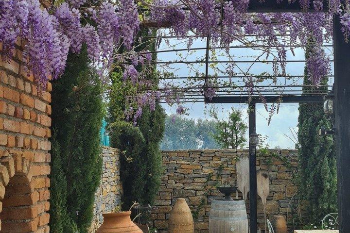 食事とワインのペアリングKarnas Vineyards Bodrumでのディナー