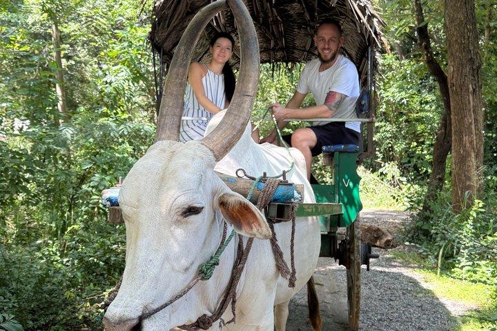 Il meglio dello Sri Lanka Tour di 8 giorni e 7 notti con hotel e trasporti