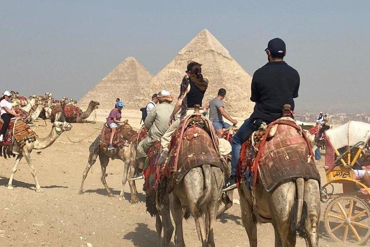 Tour di mezza giornata Piramidi di Giza e Sfinge